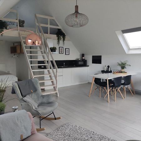 Apartmán *** Biezoe *** Brakel Exteriér fotografie