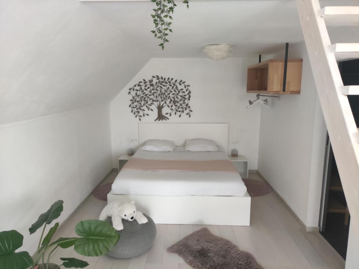 Apartmán *** Biezoe *** Brakel Exteriér fotografie