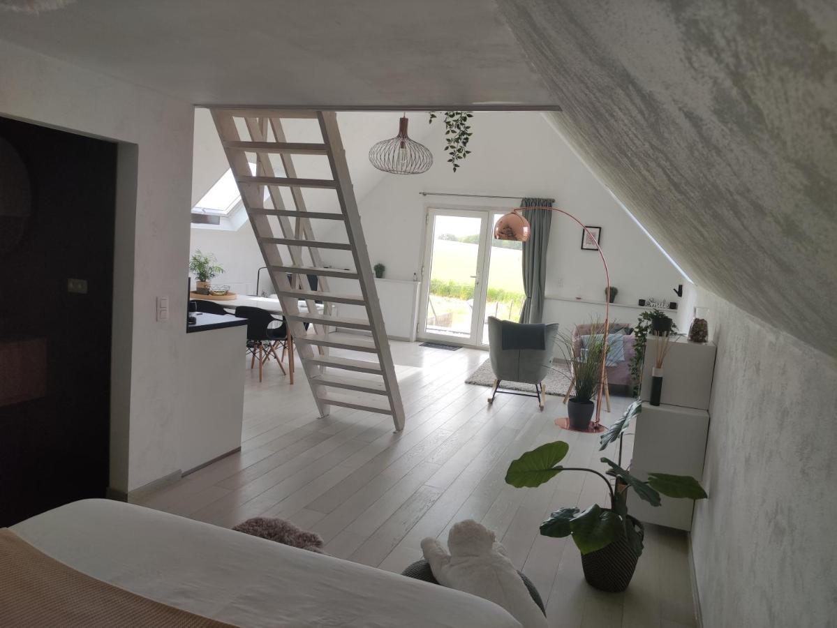 Apartmán *** Biezoe *** Brakel Exteriér fotografie
