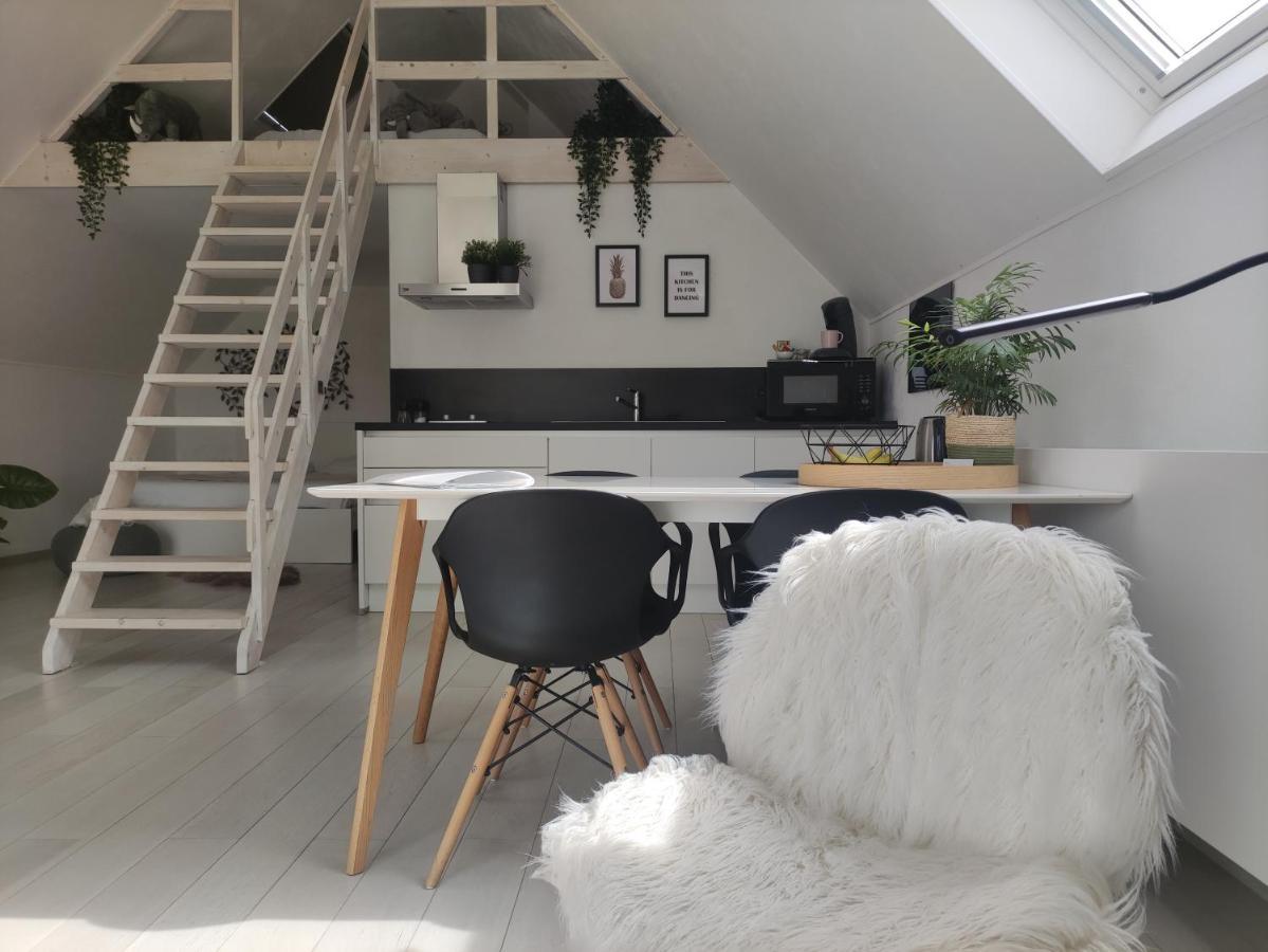Apartmán *** Biezoe *** Brakel Exteriér fotografie