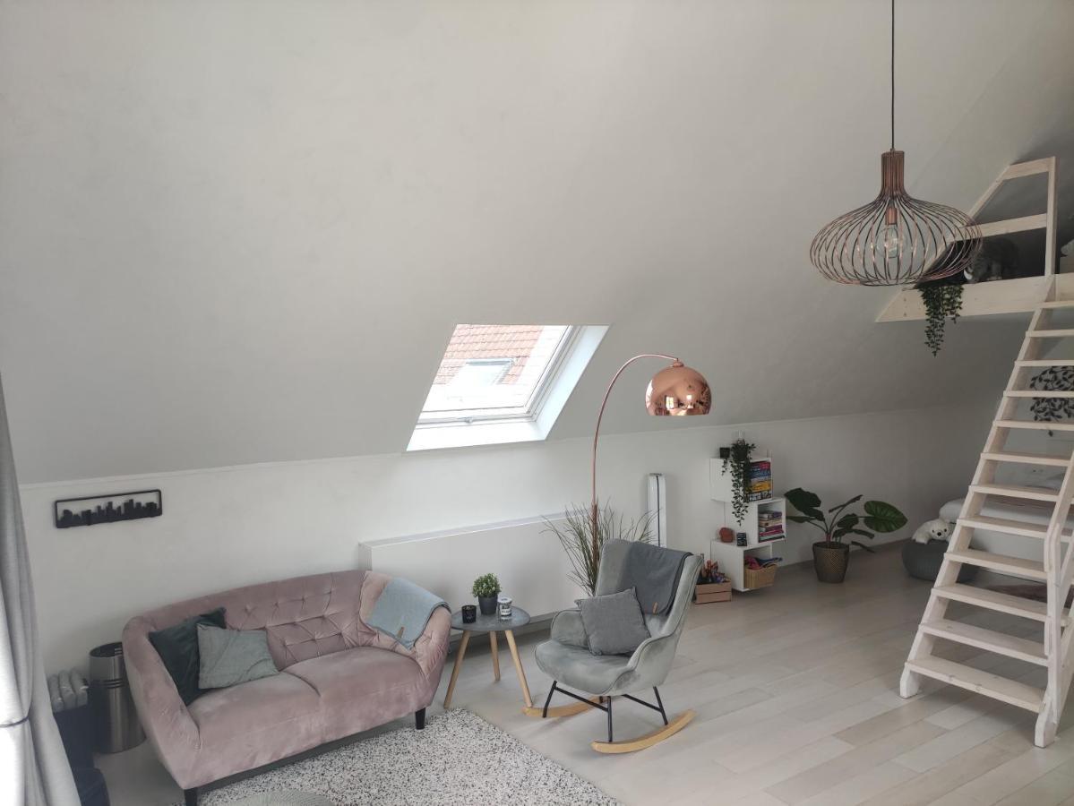 Apartmán *** Biezoe *** Brakel Exteriér fotografie